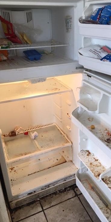 Fridge interior before deep cleaning